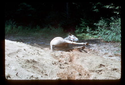Slide971.jpg